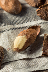 Raw Brown Organic Brazil Nuts