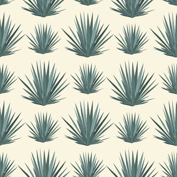 Vector seamless pattern with blue agave. Tequila agave succulent plant background, wallpaper