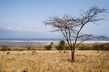 Fototapeta na wymiar Lac Magadi , vallée du Rift Lac Magadi , Kenya