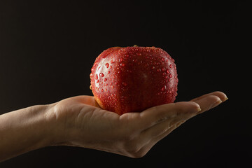 A woman hand holds a fresh red apple with water drops on a black background.