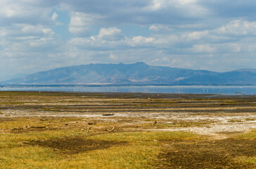 Parc national, Lac Manyara, Tanzanie