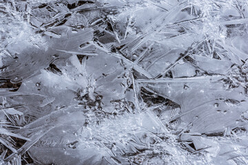The texture of the thin ice on the water surface