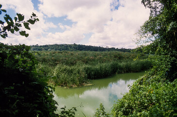 Obraz premium Parc national d' Arusha, Tanzanie