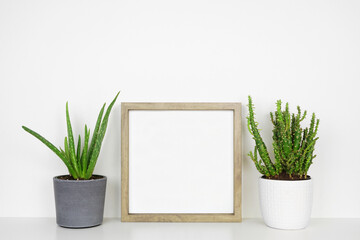 Mock up wood square frame with cactus plants. White shelf against a white wall. Copy space.