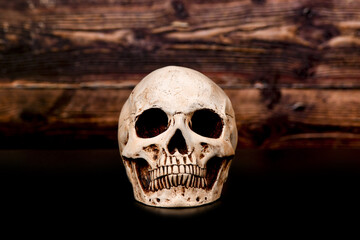 Obraz premium Skull on a background of textured wood on a black background.
