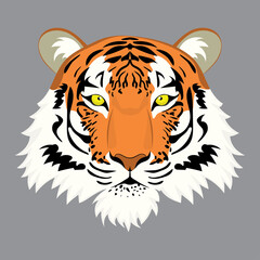 Red tiger portrait
