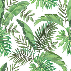 Motif vectoriel jungle avec feuilles tropicales. Impression estivale tendance. Arrière-plan transparent exotique.