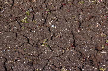 Close up dry brown ground background. Cracked soil texture. 