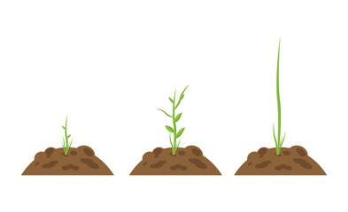 Plant agriculture growth concept biology nature vector