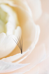 Concept eyelash extension procedure. Macro photo lashes on pink flowers