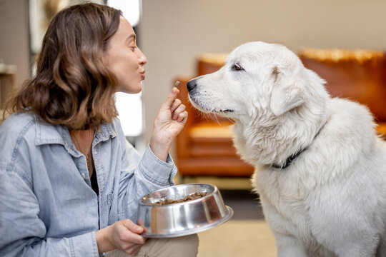 Woman feeding a dog with dry food