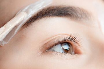 Macro Master wax depilation of eyebrow hair in women, brow correction