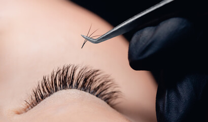 Closeup Eyelash extension procedure. Master tweezers black fake long lashes 3d beautiful female eyes - obrazy, fototapety, plakaty