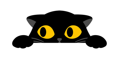 Black cute cat is peeking on white background