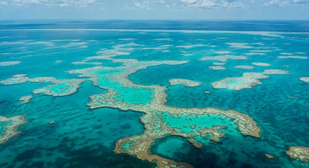 Fotobehang Great barrier reef from the sky in Australia © Noemie