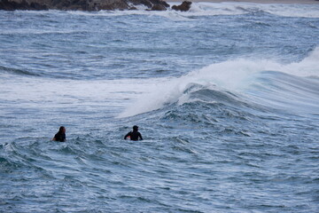 Welle mit Surfer