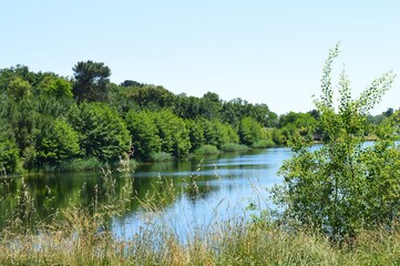 Fototapeta na wymiar lake in the forest