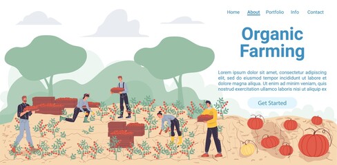 Vector cartoon flat farmer characters harvesting,people workers harvest vegetables in autumn season-natural,organic farming,agriculture concept for web online landing page template,site design