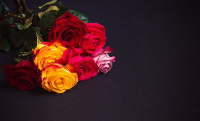 Bunch of colorful roses  on dark background.  Selective focus.
