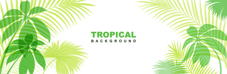 Tropical horizontal banner with exotic green leaves. Stylish fashion frame on a white background.  Vector illustration isolated and editable. © Feodora_21