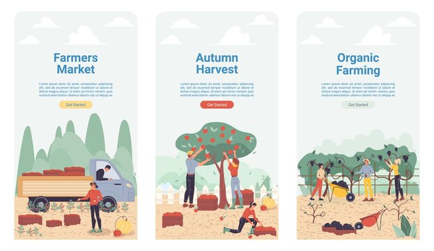 Vector cartoon flat farmer characters harvesting,workers harvest vegetables,fruits,load them on truck-natural,organic farming,agriculture concept.Set of web online landing page templates site design