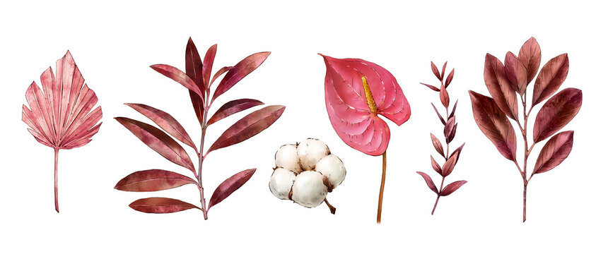 Watercolor tropical clipart with leaves, anthurium flower, dry flora, cotton. Exotic set of natural leaves and flowers. Hand painted watercolor. Botanical hand drawn illustration