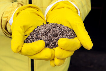 Nitrogen fertilizers for applying to the soil in the hands of a person who is wearing protective...
