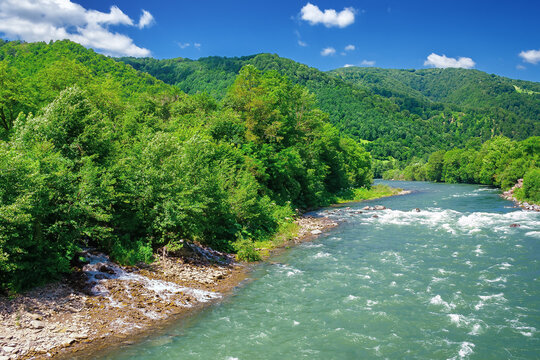 mountain river scenery on a sunny day. beautiful views of carpathian nature landscape in fine summer weather with blue sky and fluffy clouds
