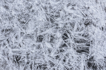 The texture of the thin ice on the water surface