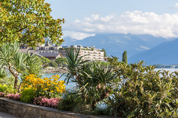 Fototapeta premium montreux et lac léman en été - suisse