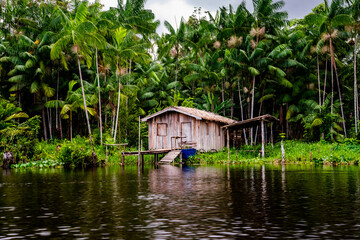 Casa tipo palafita de moradores da regi&atilde;o Amaz&ocirc;nica e ao fundo planta&ccedil;&atilde;o de A&ccedil;a&iacute; nativo.