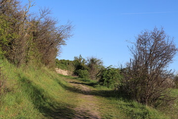 Fototapeta na wymiar Sentier de promenade dans la campagne au milieu de la verdure au printemps, ville de Mions, département du Rhône, France