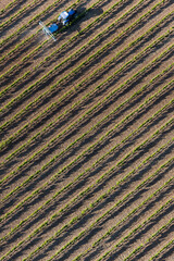 Campos de viñedos de la rioja