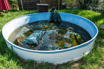 Fototapeta premium a dirty pool after the winter