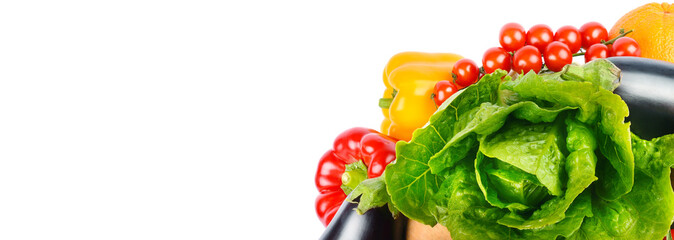 vegetables isolated on white background. Wide photo. Place for your text.