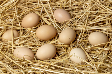 Fresh chicken eggs. Organic farm eggs on straw background.