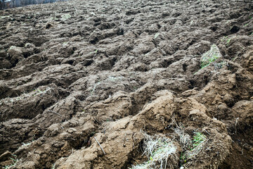 Rural agricultural landscape of the ploughed fields