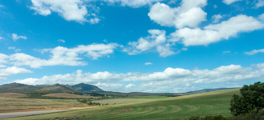 Field landscape in the Cape Town Region, South Africa