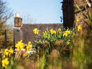 English spring time village