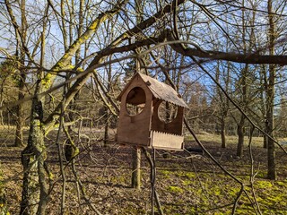birdhouse hanging on a tree in the spring season