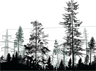 electric tower in dark fir forest