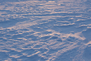 Snow waves on a winter field at sunset. Blue natural background.