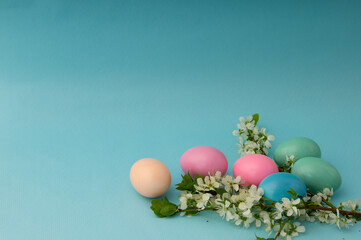 Easter eggs and blossoming branches in the rays of the spring sun on a blue background. Postcard with place for your text