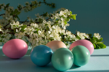 Easter eggs and flowering branches in the rays of the spring sun