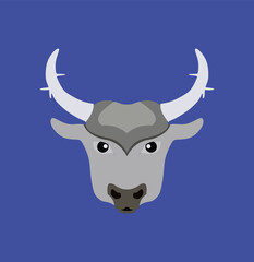 cow, animal, cattle, bull, farm, mammal, horns, brown, horn, buffalo, isolated, agriculture, nature, head, white, ox, bovine, wildlife, longhorn, milk, grass, pasture, wild, field, livestock