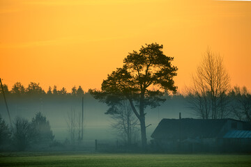 Naklejka premium A beautiful springtime dawn landscape before the sunrise. Soft, diffused light over the rural scenery during spring. Misty landscape of Northern Europe.