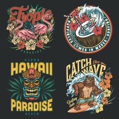 Hawaii surfing vintage colorful prints