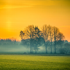 Obraz premium A beautiful springtime dawn landscape before the sunrise. Soft, diffused light over the rural scenery during spring. Misty landscape of Northern Europe.
