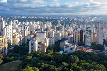 Trianon Park with buildings in the gardens neighborhood in the background, São Paulo, SP, Brazil