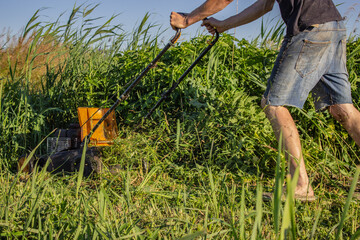 male gardener in black t-shirt and denim shorts mow cordless gasoline lawn mower very large...